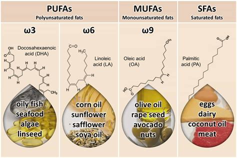 omega 6 to omega 3 levels.